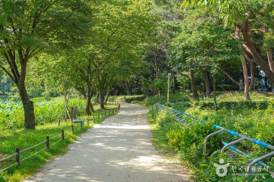 Gangju Pond (강주연못)